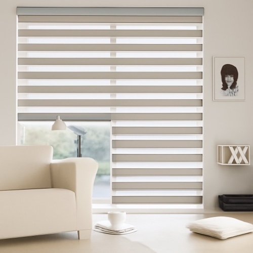 Zebra Blinds
